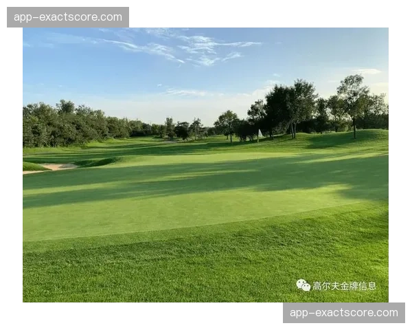 通讯：探访新建成的社区高尔夫公园，旨在降低运动门槛
