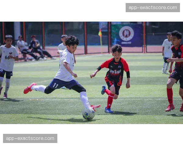 评论：法国足球技术总监谈青训改革，强调对“多阵型适应性”的培养